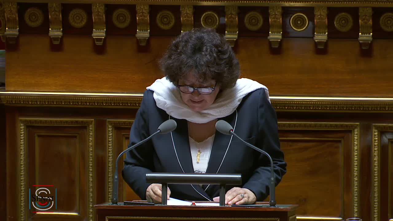 Séance publique du 13 mars 2019 (après-midi)