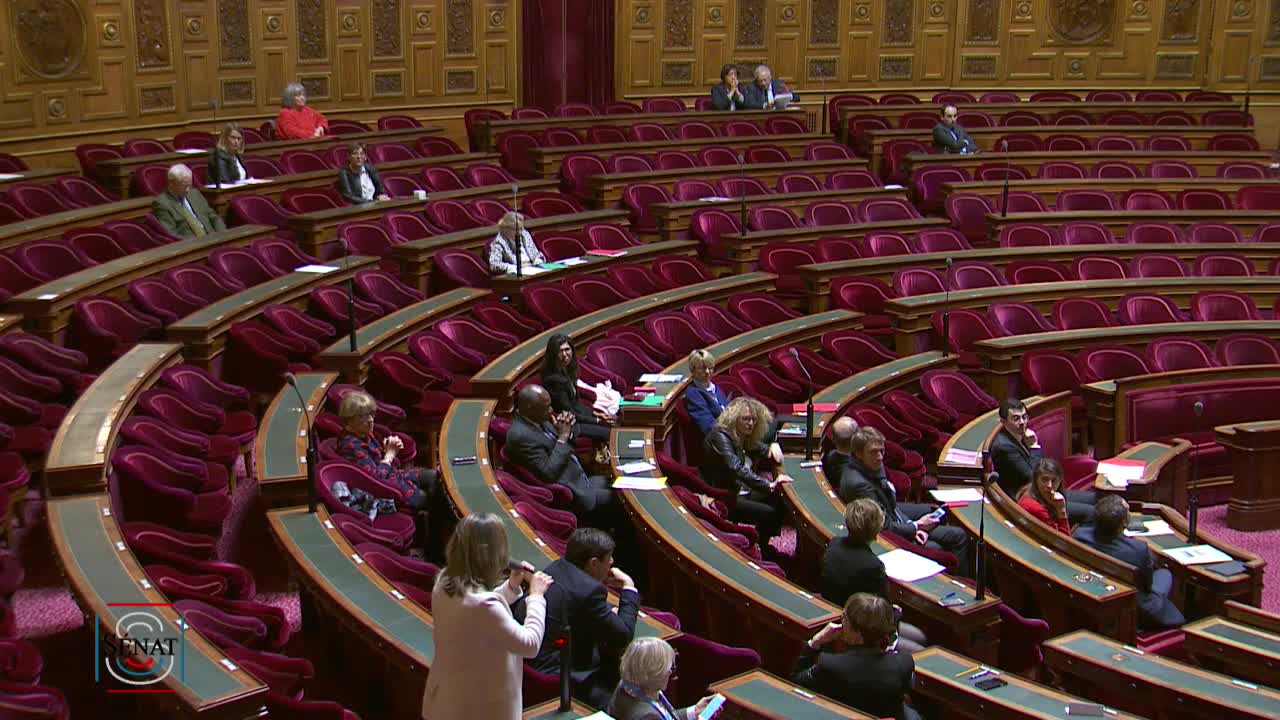 Séance publique du 14 mars 2019 (après-midi)