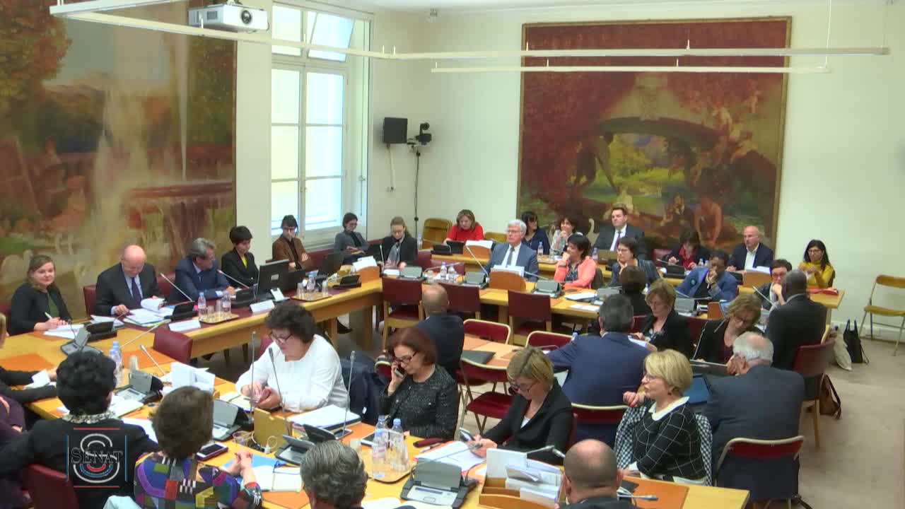 Audition de M. Jacques Toubon, défenseur des droits.