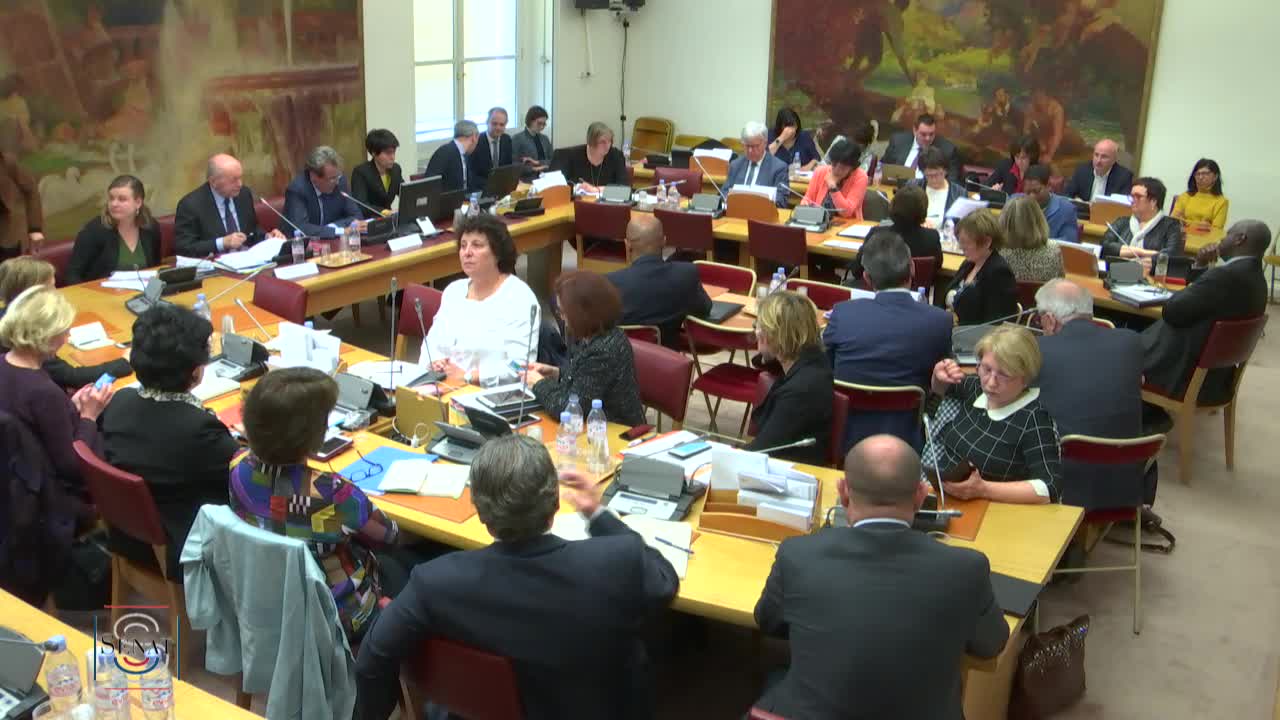 Audition de M. Jacques Toubon, défenseur des droits.