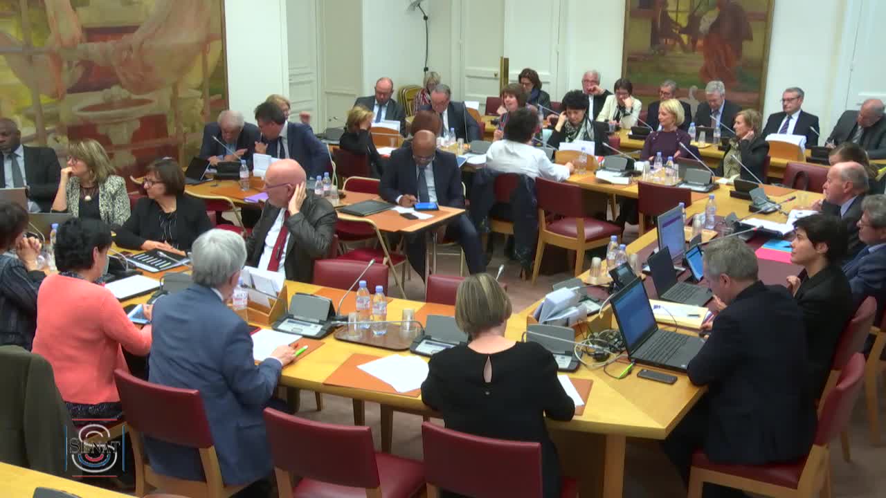Audition de M. Jacques Toubon, défenseur des droits.