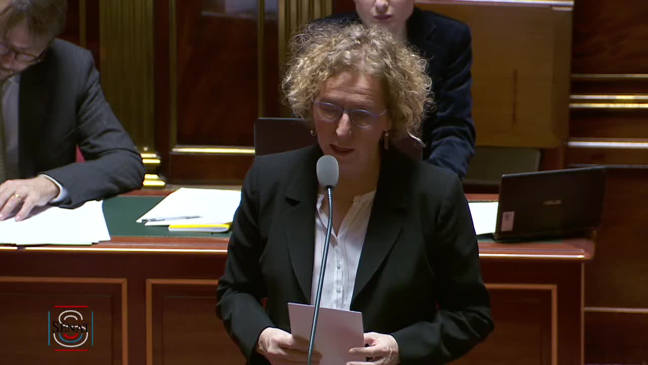 Séance publique du 19 mars 2019 (matin)