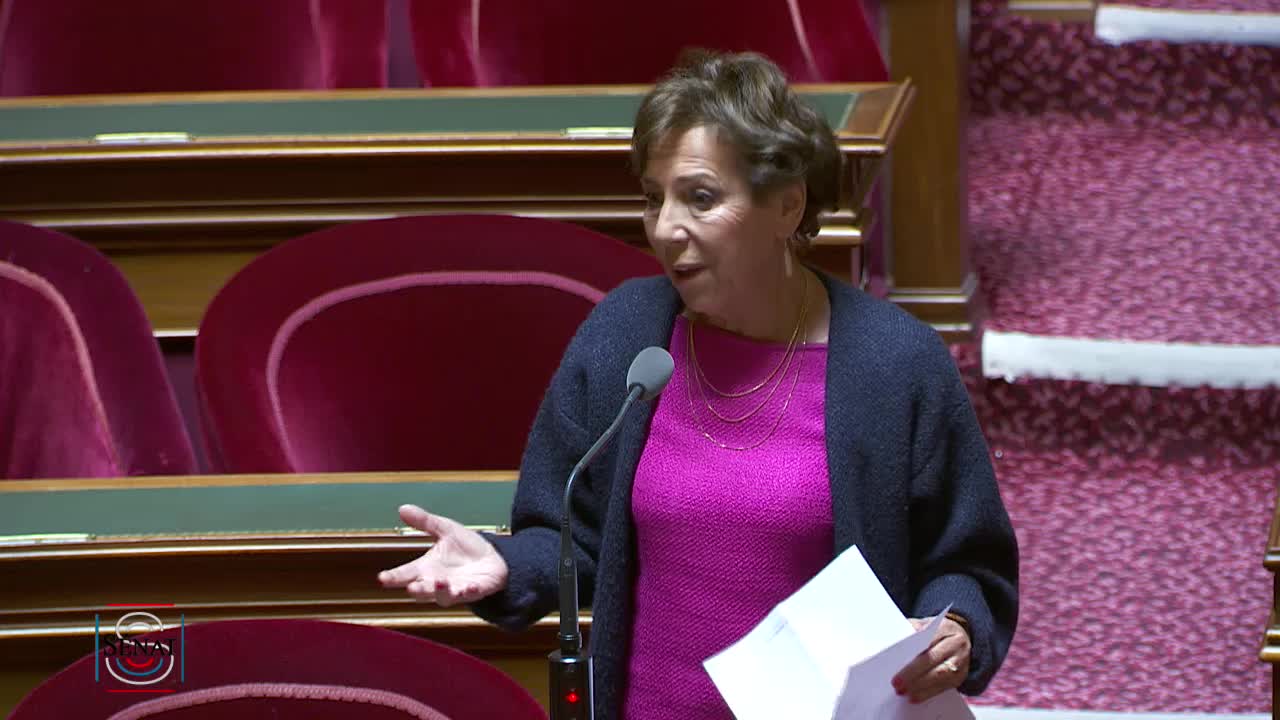Séance publique du 19 mars 2019 (matin)