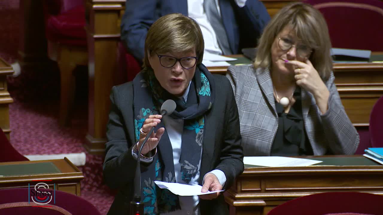 Séance publique du 19 mars 2019 (matin)