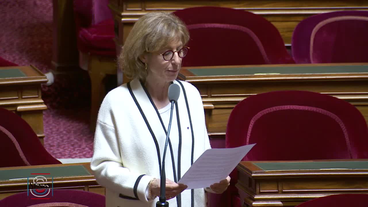 Séance publique du 19 mars 2019 (matin)