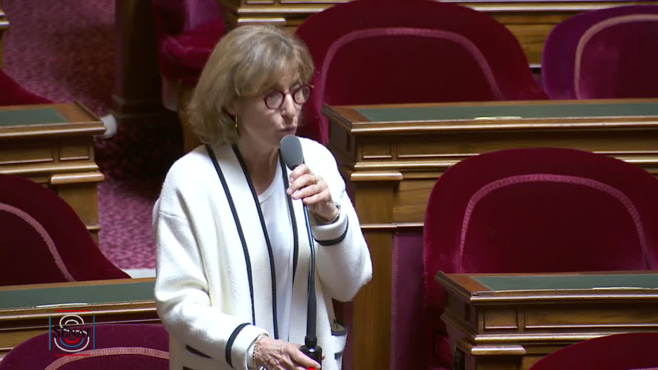 Séance publique du 19 mars 2019 (matin)