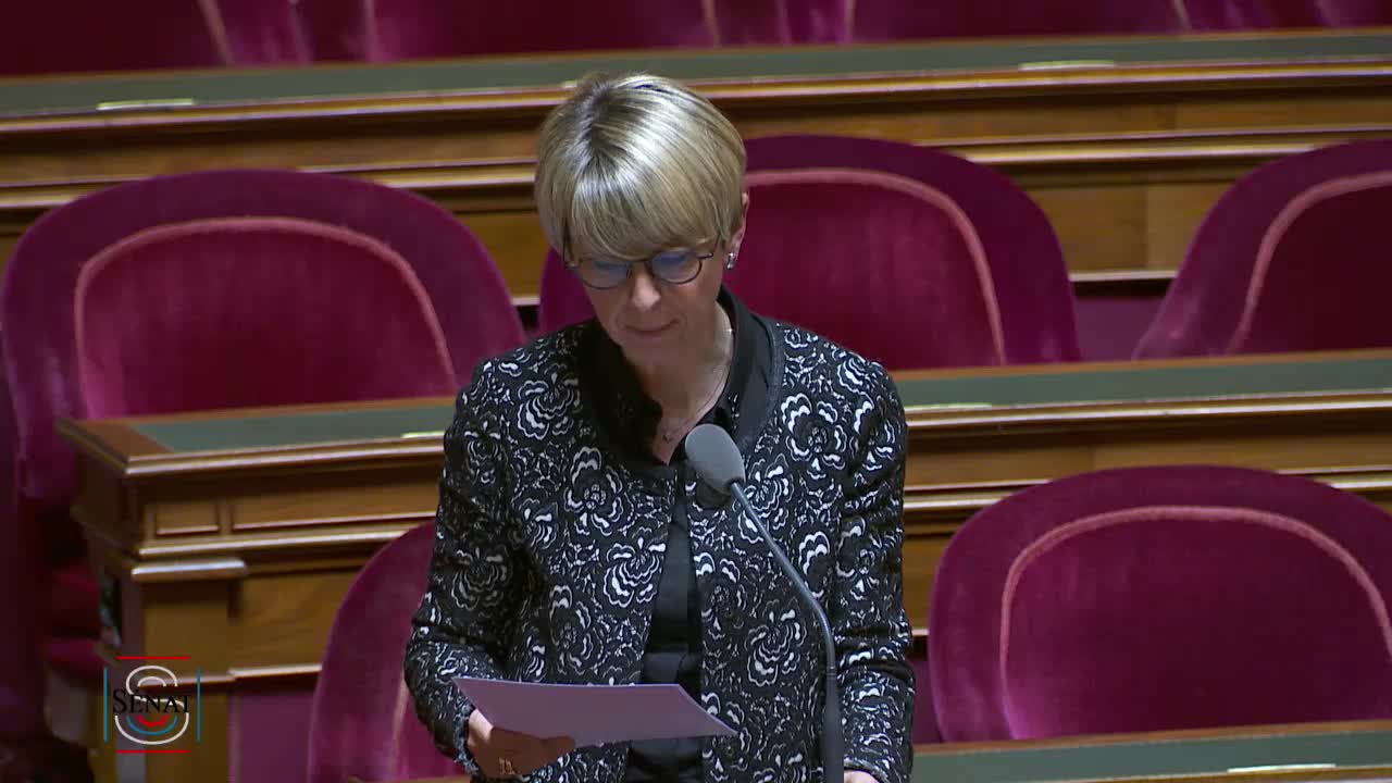 Séance publique du 19 mars 2019 (matin)