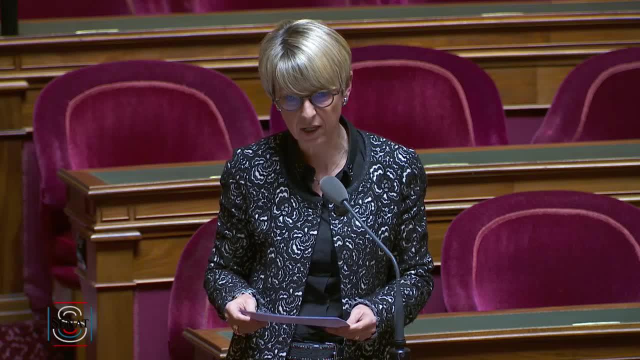 Séance publique du 19 mars 2019 (matin)