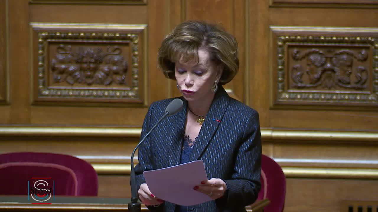 Séance publique du 19 mars 2019 (matin)