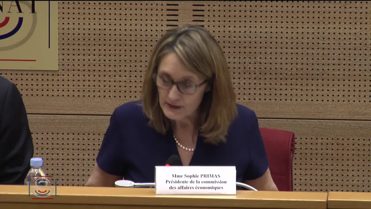 Audition sur les moyens mis en place pour faire face aux nouveaux actes de violence et de vandalisme commis à Paris