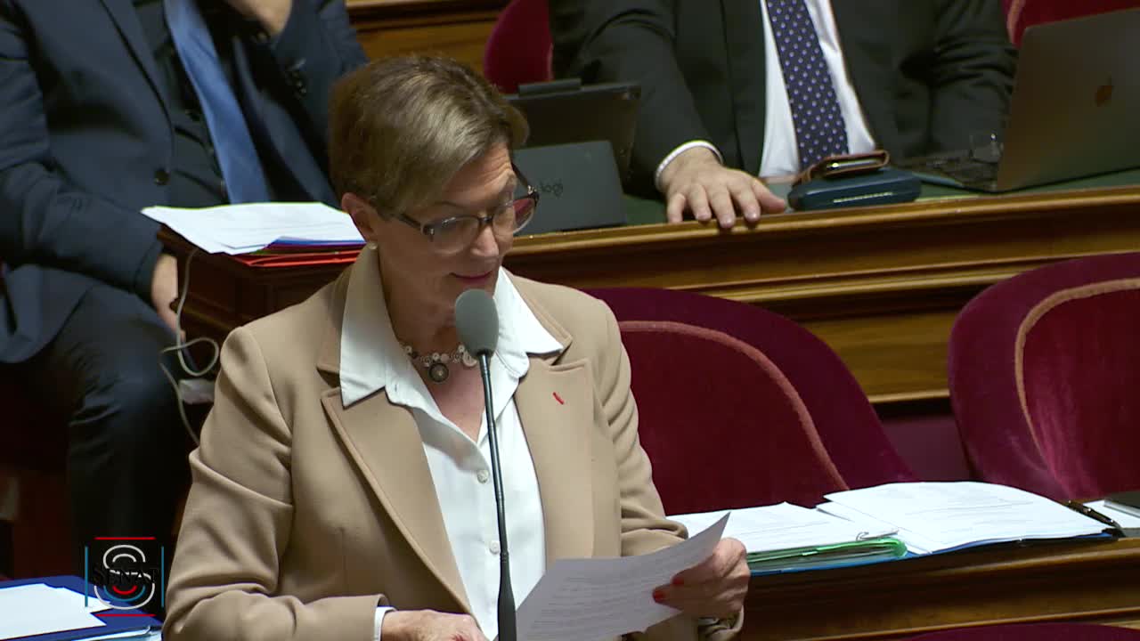 Séance publique du 19 mars 2019 (après-midi)