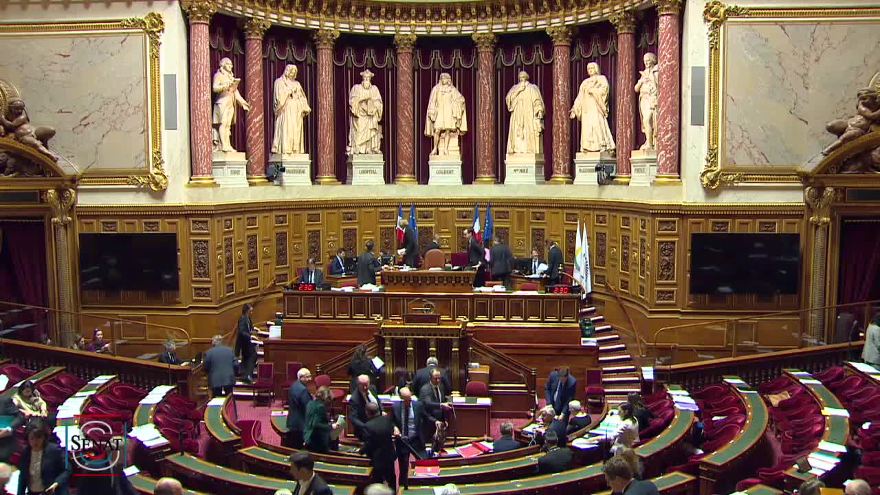 Séance publique du 19 mars 2019 (après-midi)