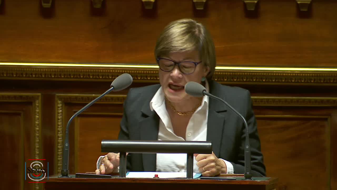 Séance publique du 19 mars 2019 (après-midi)
