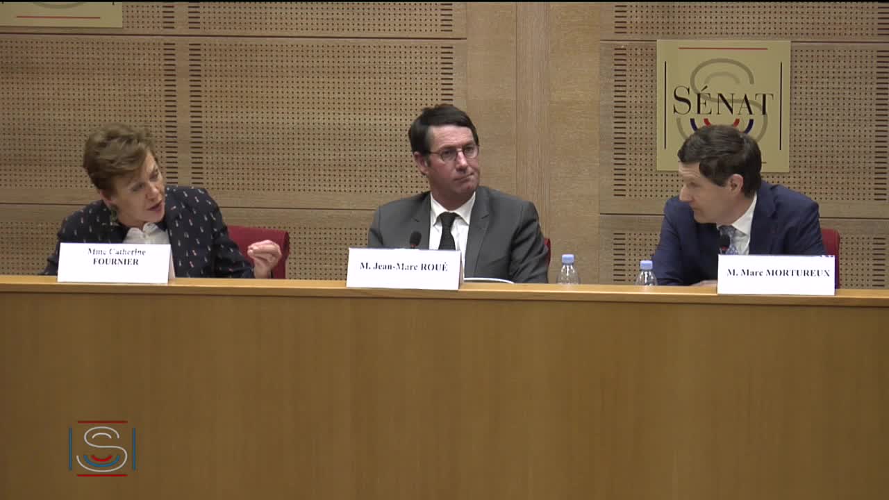 "Brexit : le jour d'après. Impact pour la vie économique française"