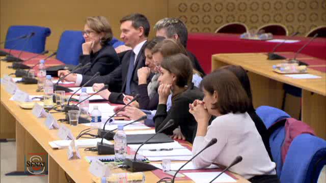 Mission commune d'information sur la réforme des rythmes scolaires
