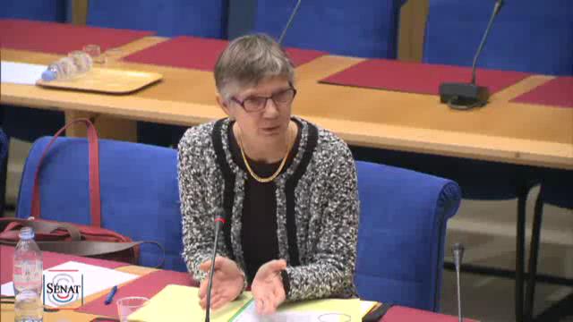 Mission d'information sur les écoles supérieures du professorat et de l'éducation