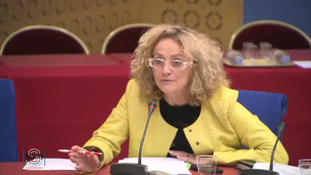 Mission d'information sur les écoles supérieures du professorat et de l'éducation
