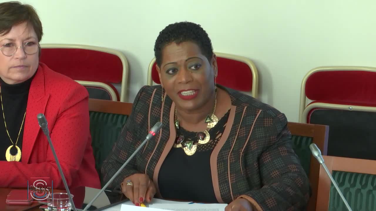 Audition de Mme Frédérique Jossinet