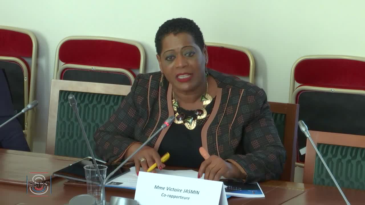 Audition de Mme Frédérique Jossinet