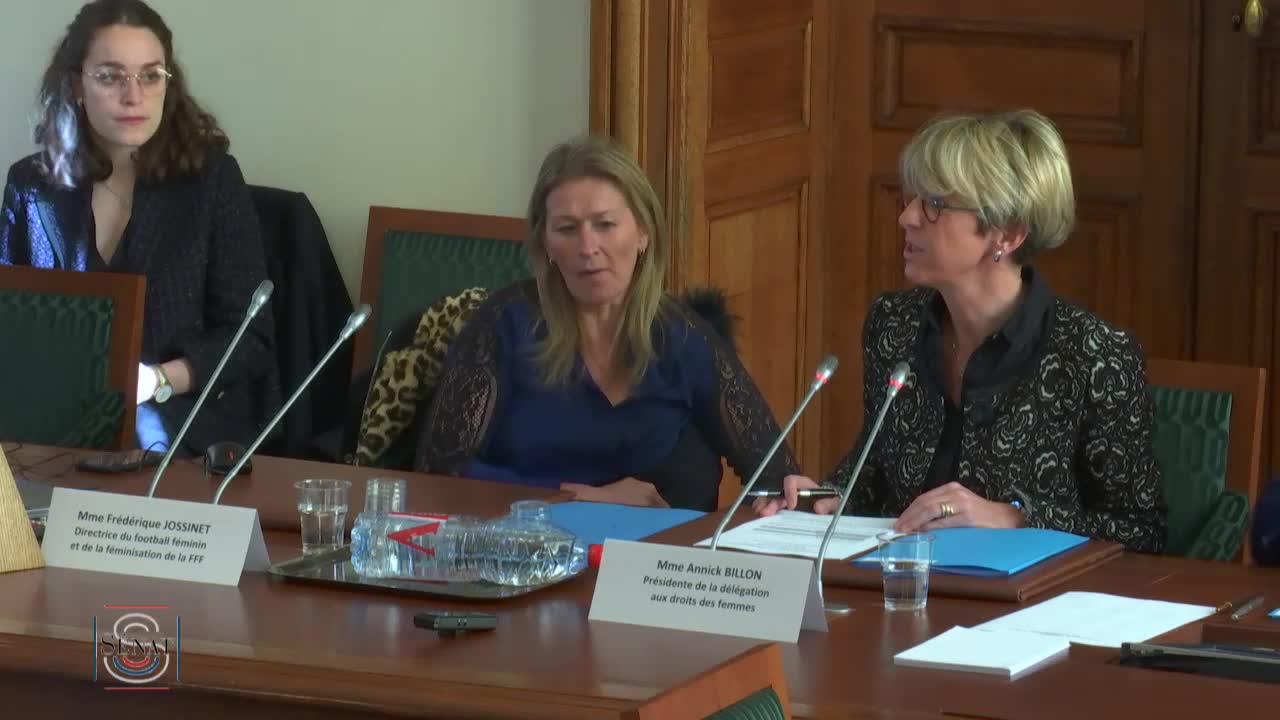 Audition de Mme Frédérique Jossinet