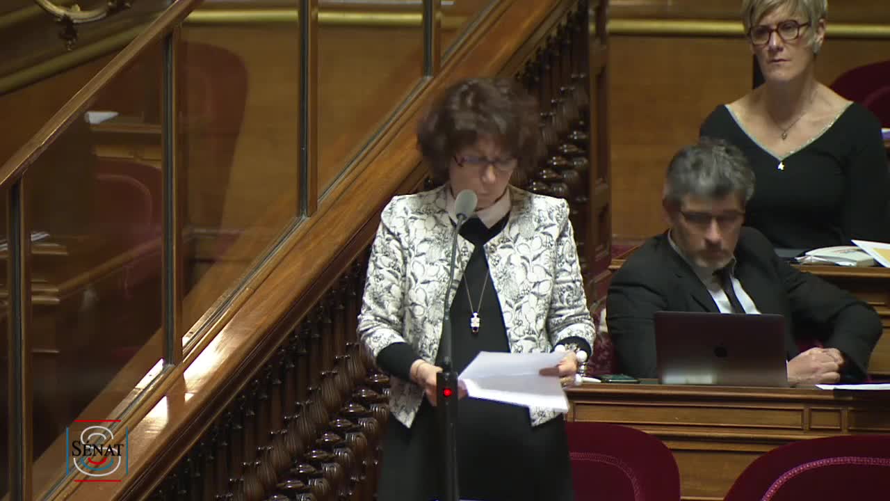 Séance publique du 20 mars 2019 (après-midi)