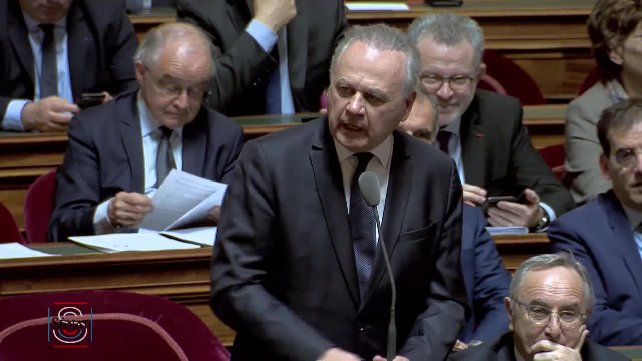 Séance publique du 21 mars 2019 (après-midi)
