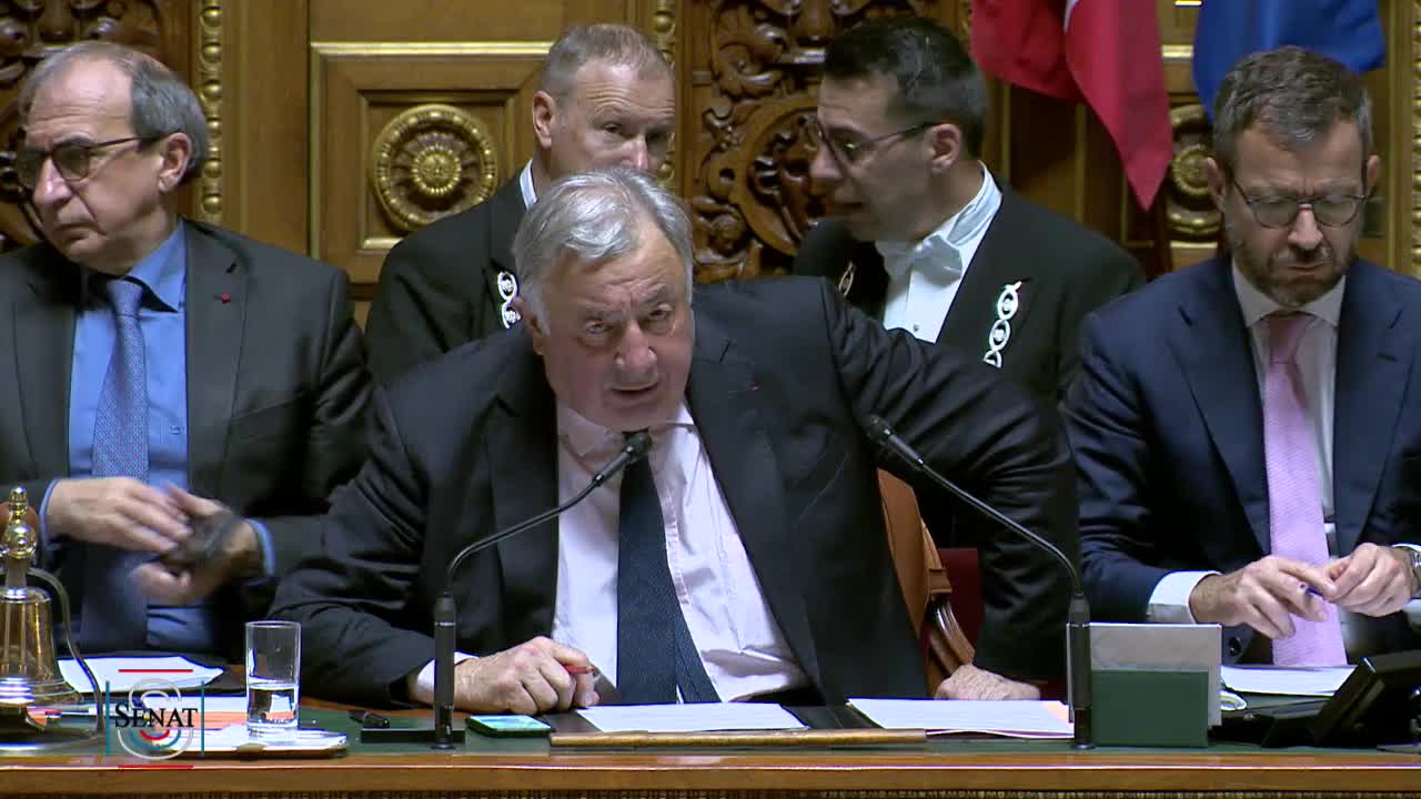Séance publique du 21 mars 2019 (après-midi)