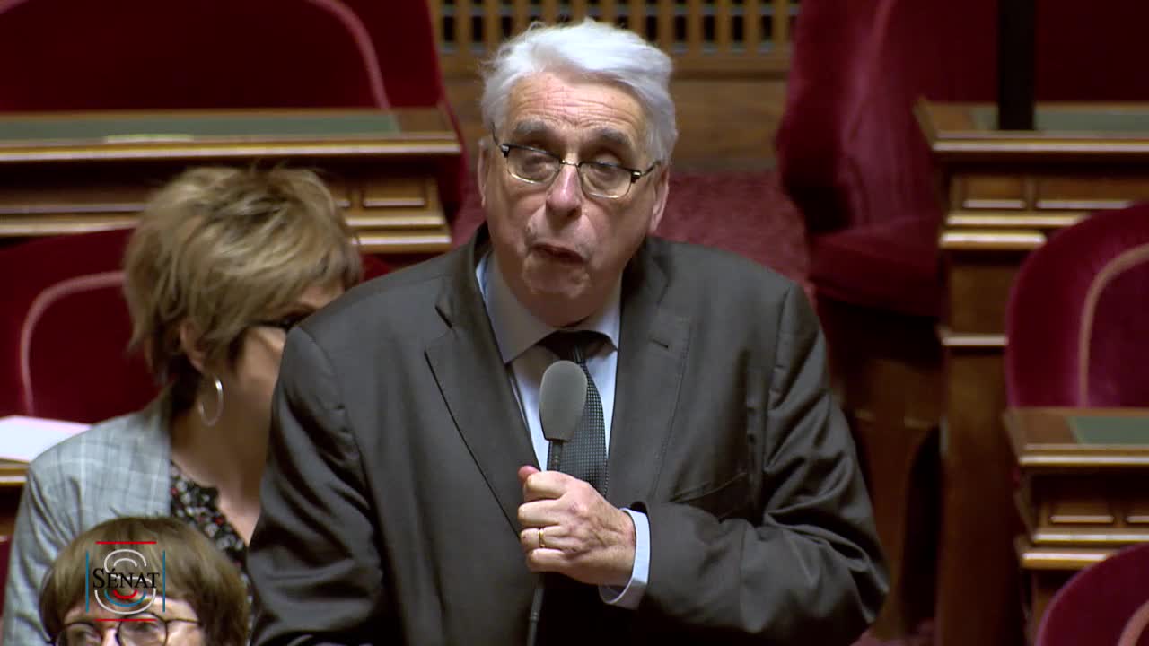 Séance publique du 21 mars 2019 (après-midi)