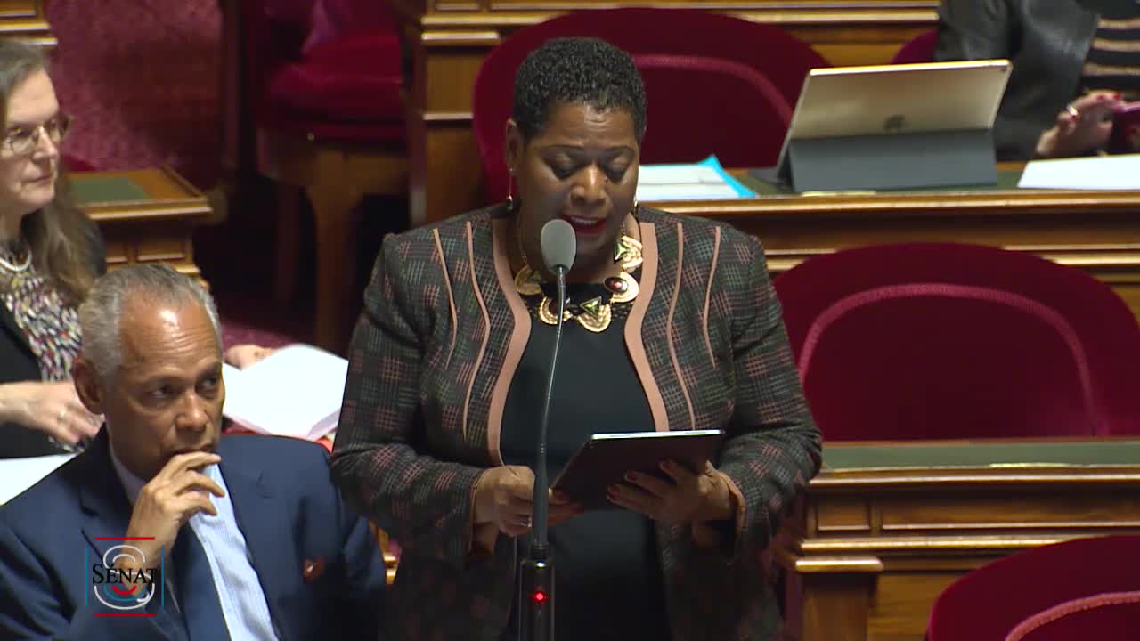 Séance publique du 21 mars 2019 (soir)