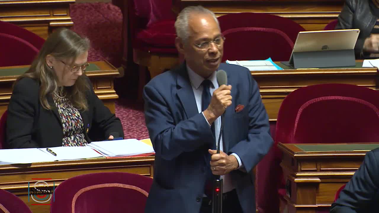 Séance publique du 21 mars 2019 (soir)