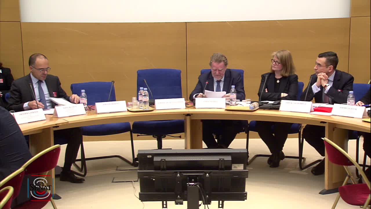 Audition plénière - 2019 - Dématérialisation des moyens de paiement