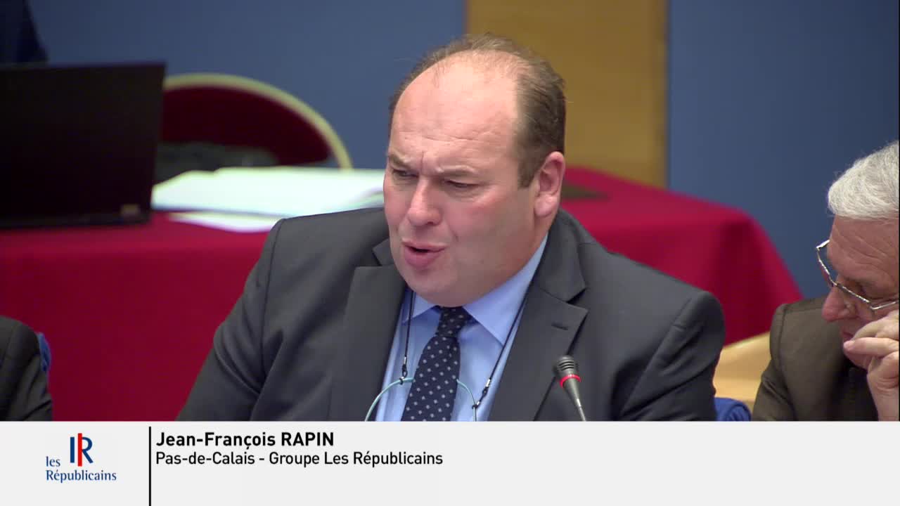Audition plénière - 2019 - Dématérialisation des moyens de paiement