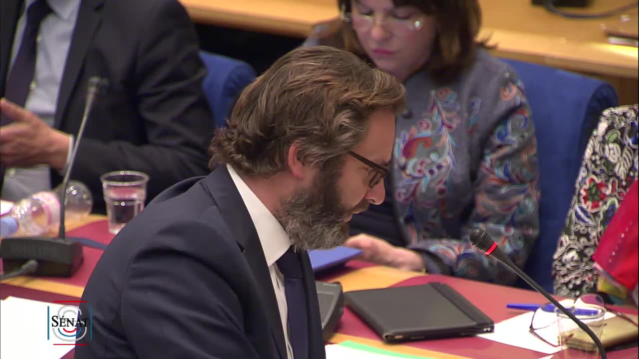 Audition plénière - 2019 - Dématérialisation des moyens de paiement