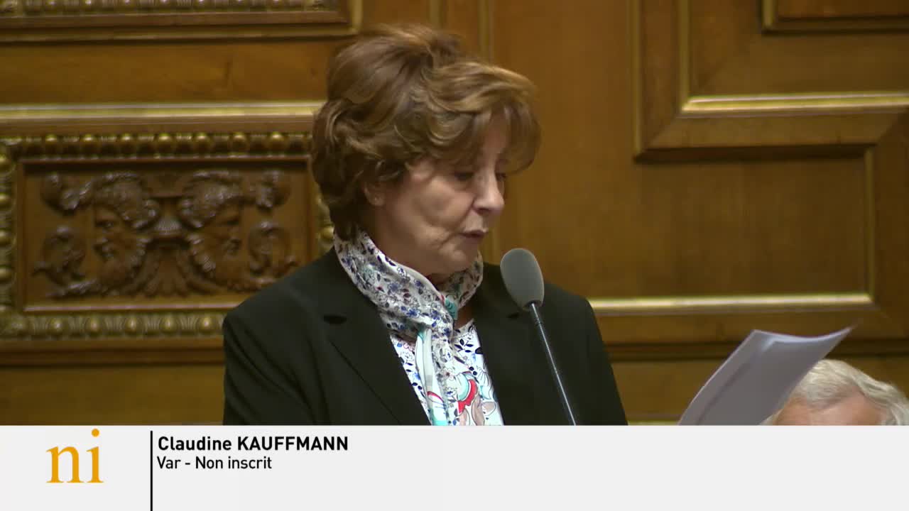 Séance publique du 26 mars 2019 (après-midi)