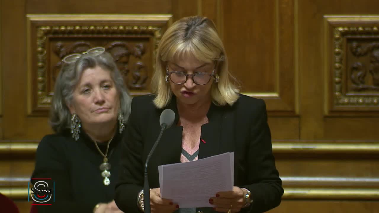 Séance publique du 26 mars 2019 (après-midi)
