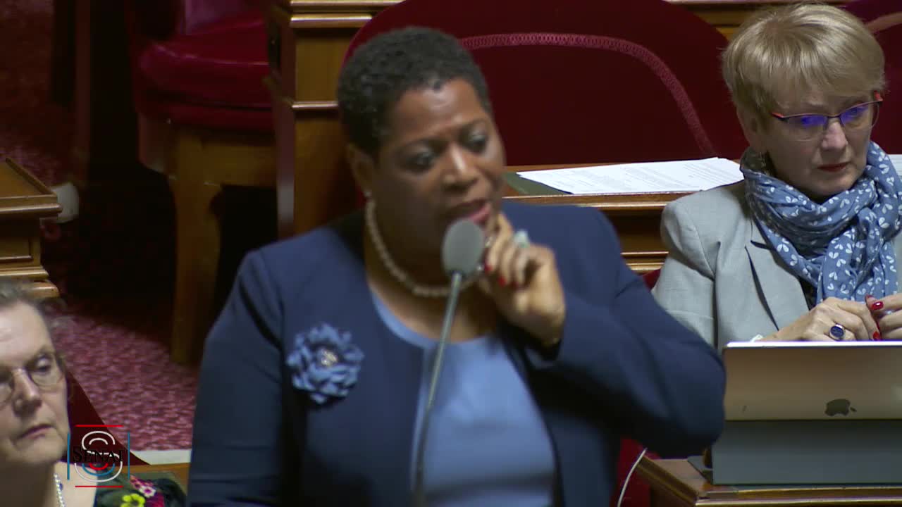 Séance publique du 26 mars 2019 (soir)