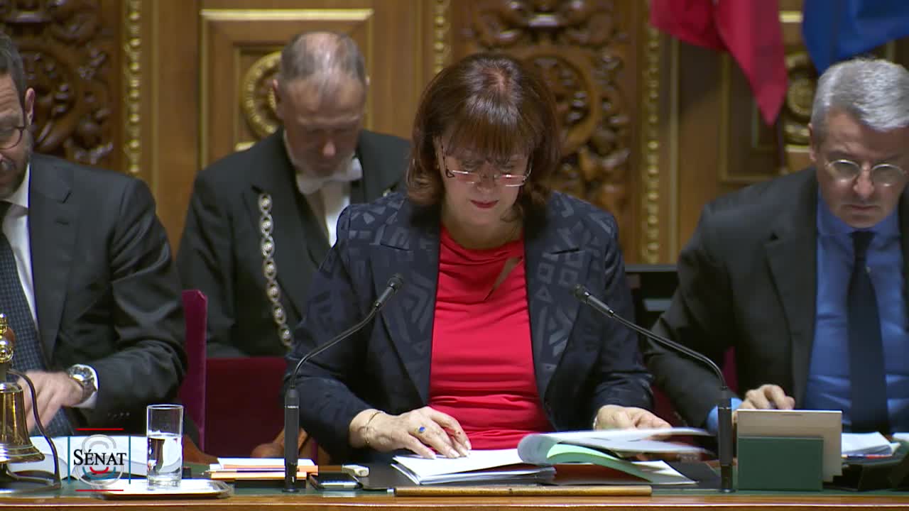 Séance publique du 26 mars 2019 (soir)