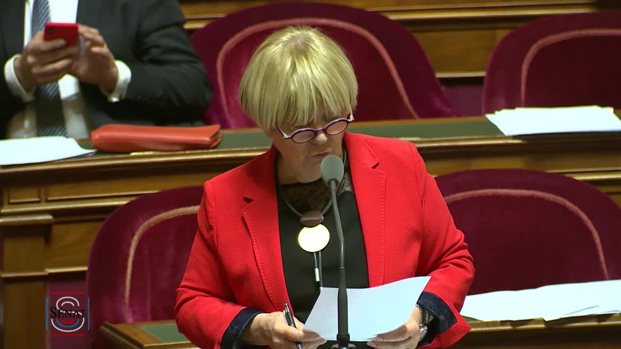 Séance publique du 27 mars 2019 (après-midi)