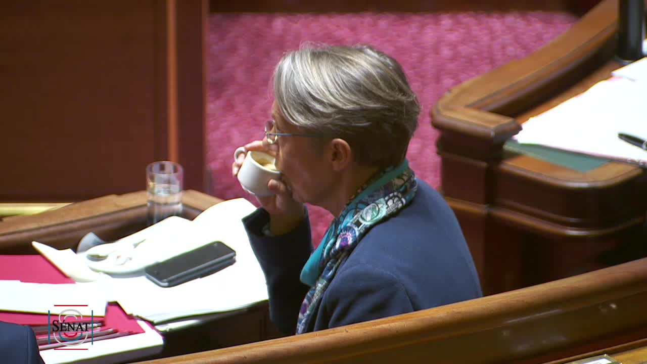 Séance publique du 27 mars 2019 (après-midi)