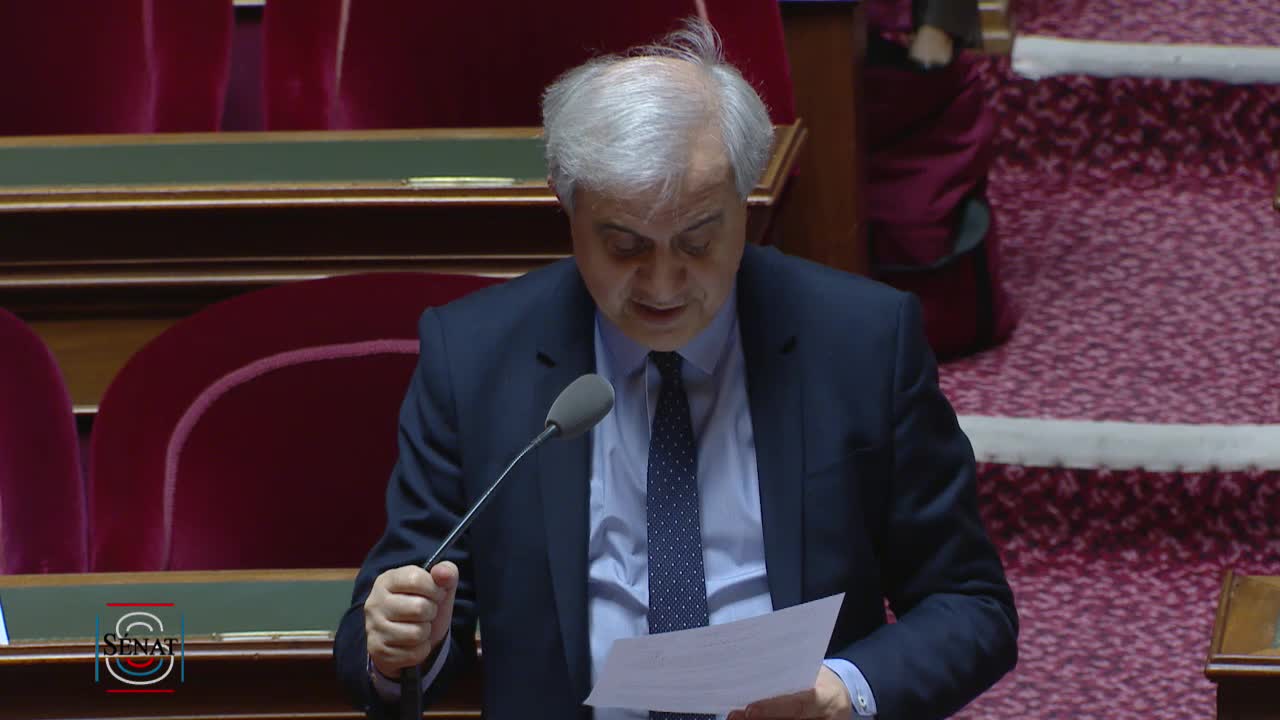 Séance publique du 28 mars 2019 (après-midi)
