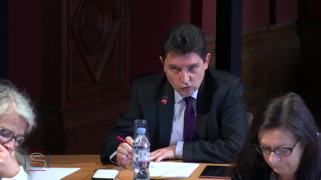 Audition plénière de Mme Myriam Benraad sur les enjeux et les perspectives de la reconstruction de l'Irak.