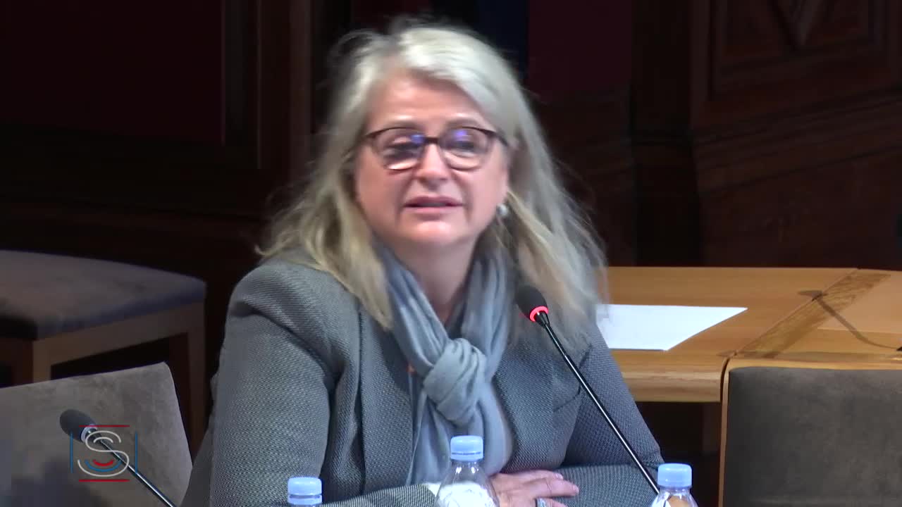 Audition plénière de Mme Myriam Benraad sur les enjeux et les perspectives de la reconstruction de l'Irak.