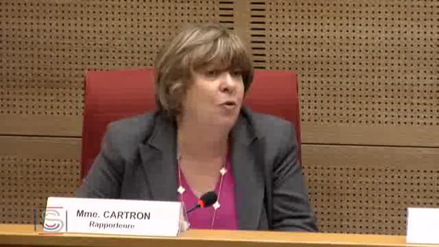 Mission commune d'information sur la réforme des rythmes scolaires