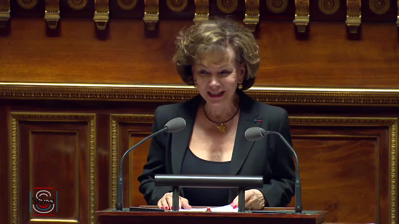 Séance publique du 2 avril 2019 (après-midi)