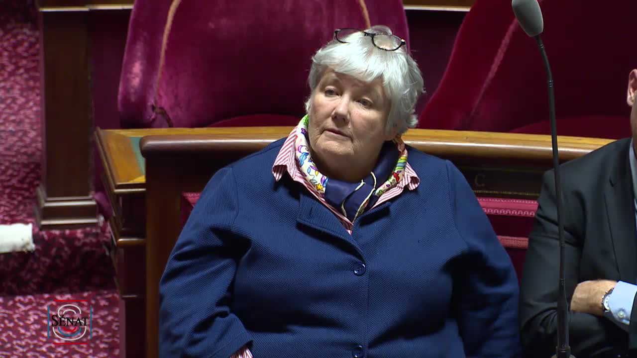 Séance publique du 2 avril 2019 (soir)