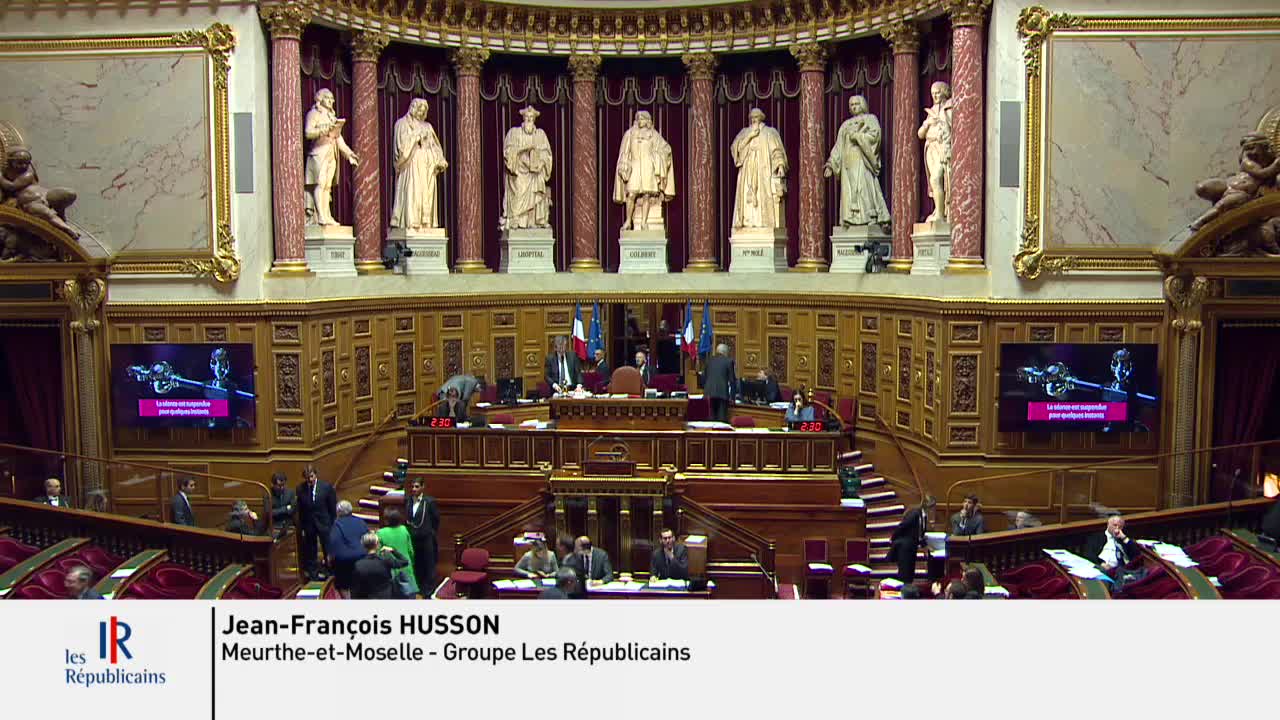 Séance publique du 2 avril 2019 (soir)