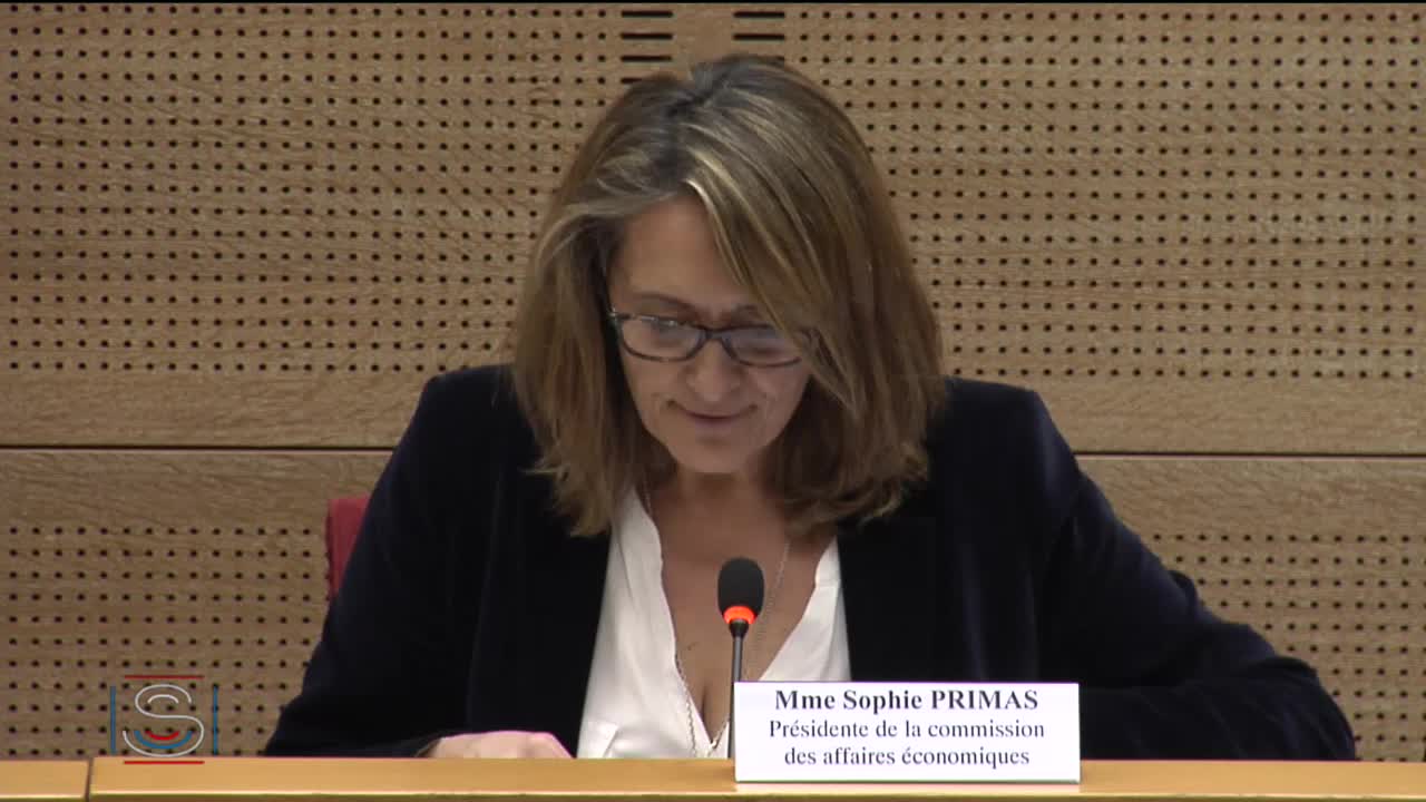 Audition de Mme Agnès Pannier-Runacher, secrétaire d’État auprès du ministre de l’économie et des finances