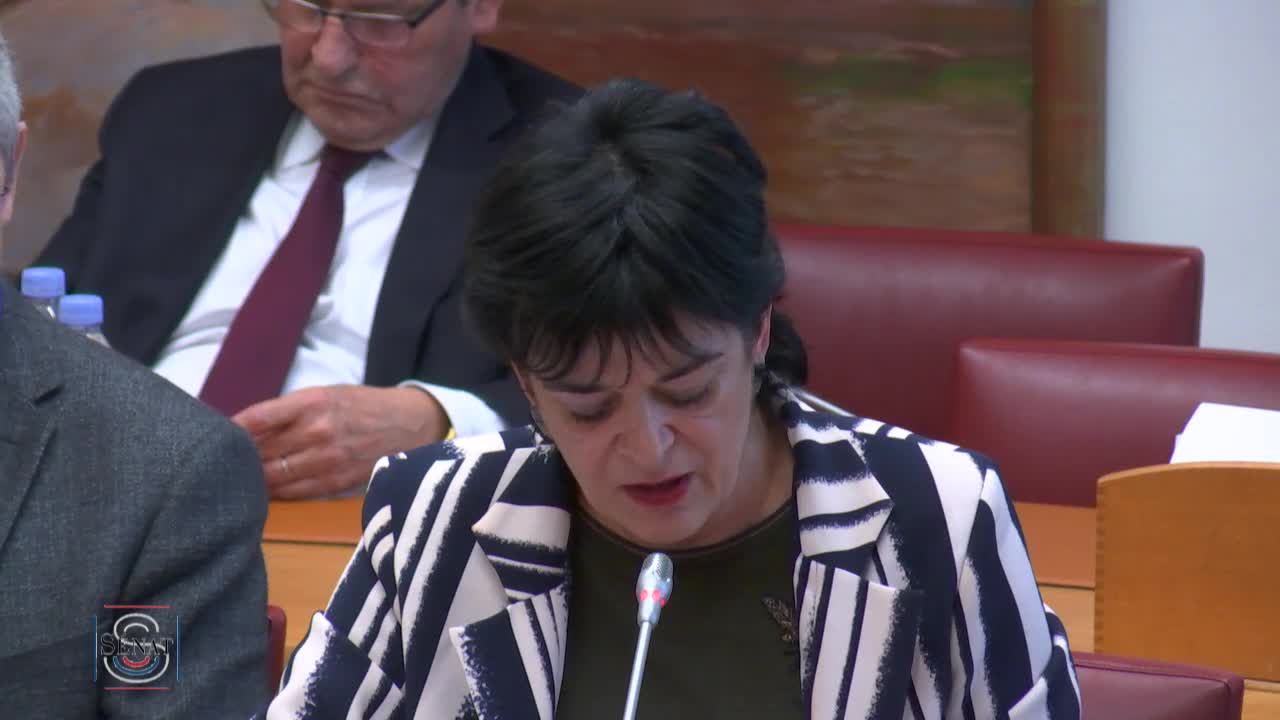 Audition plénière - Audition de M. Dominique Libault, président du Haut conseil du financement de la protection sociale, sur le rapport issu de la concertation sur le grand âge et l’autonomie