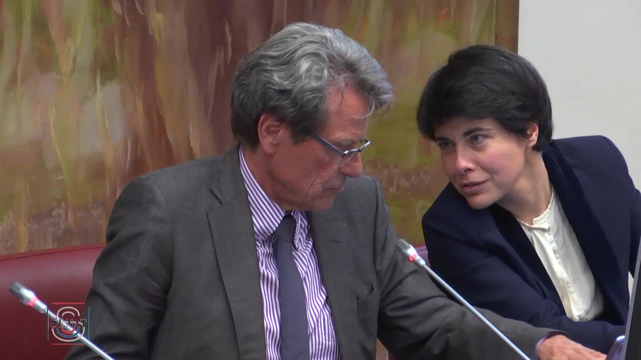 Audition plénière - Audition de M. Dominique Libault, président du Haut conseil du financement de la protection sociale, sur le rapport issu de la concertation sur le grand âge et l’autonomie