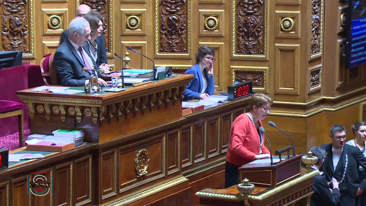 Séance publique du 3 avril 2019 (après-midi)